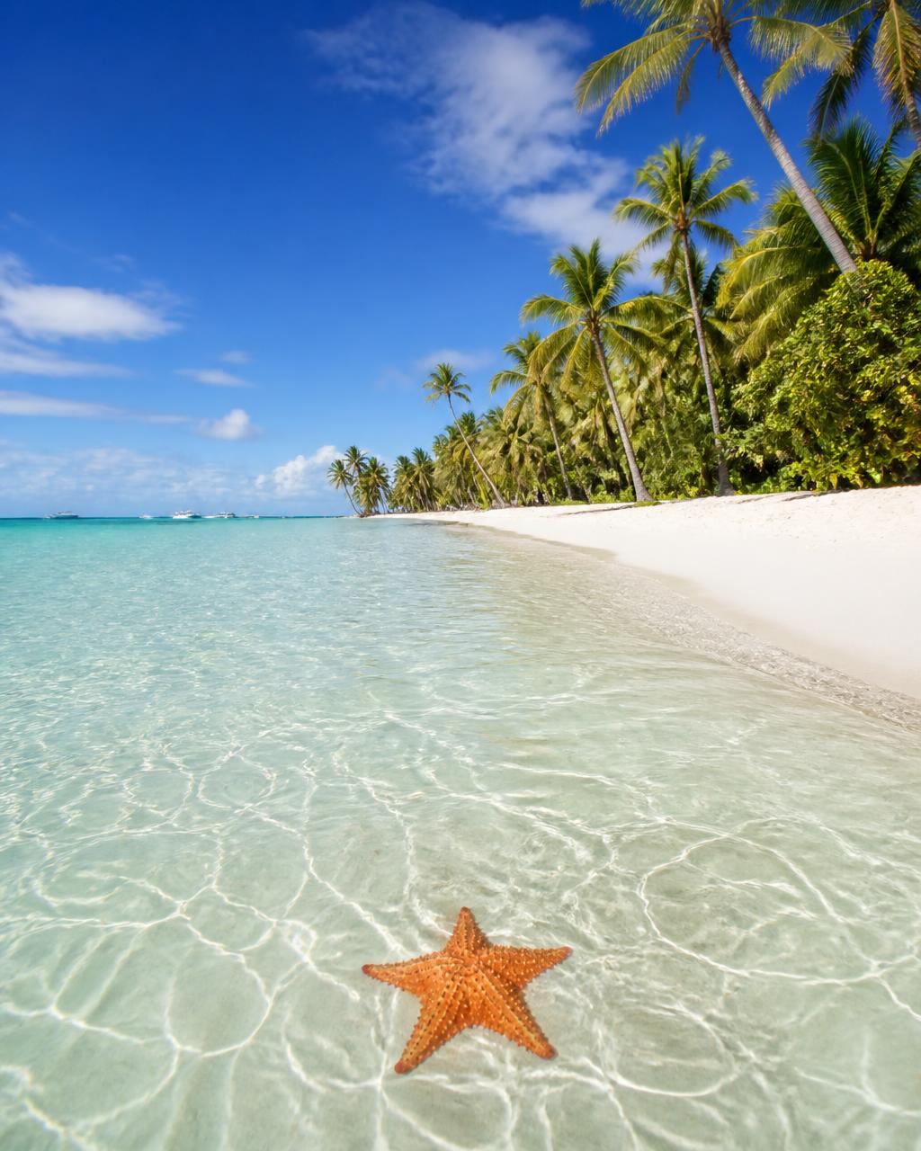 Saona Island